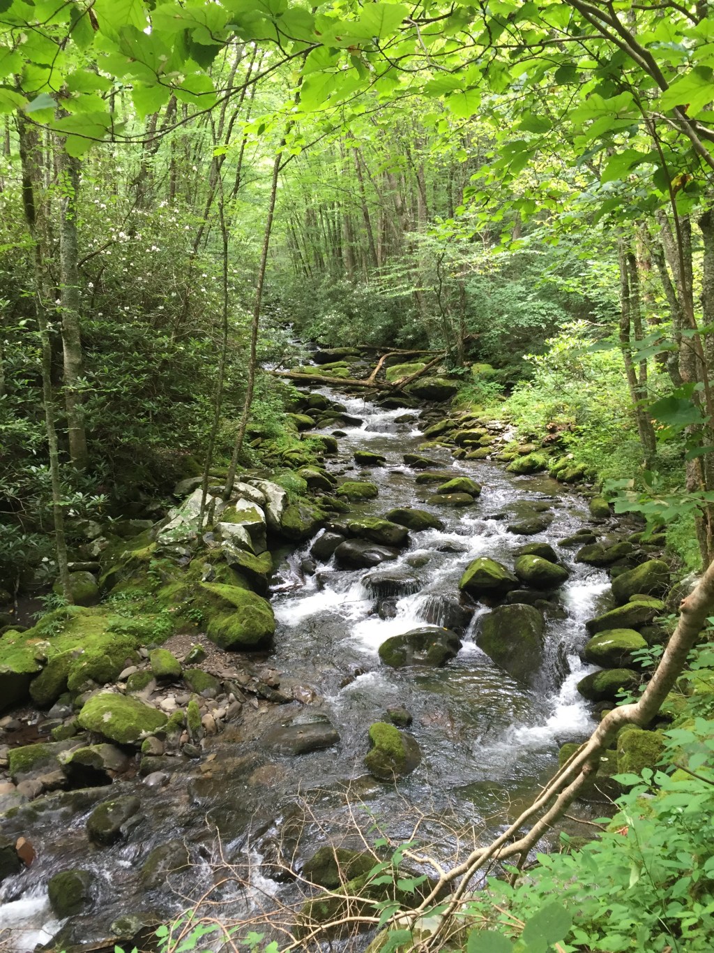 Aug. 18 – Journey on Middle&nbsp;Prong