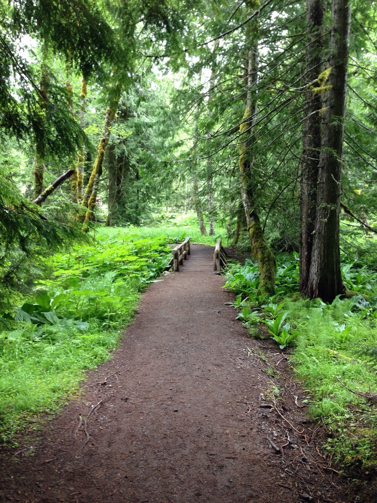 Jun. 26 – North by Pacific&nbsp;Northwest