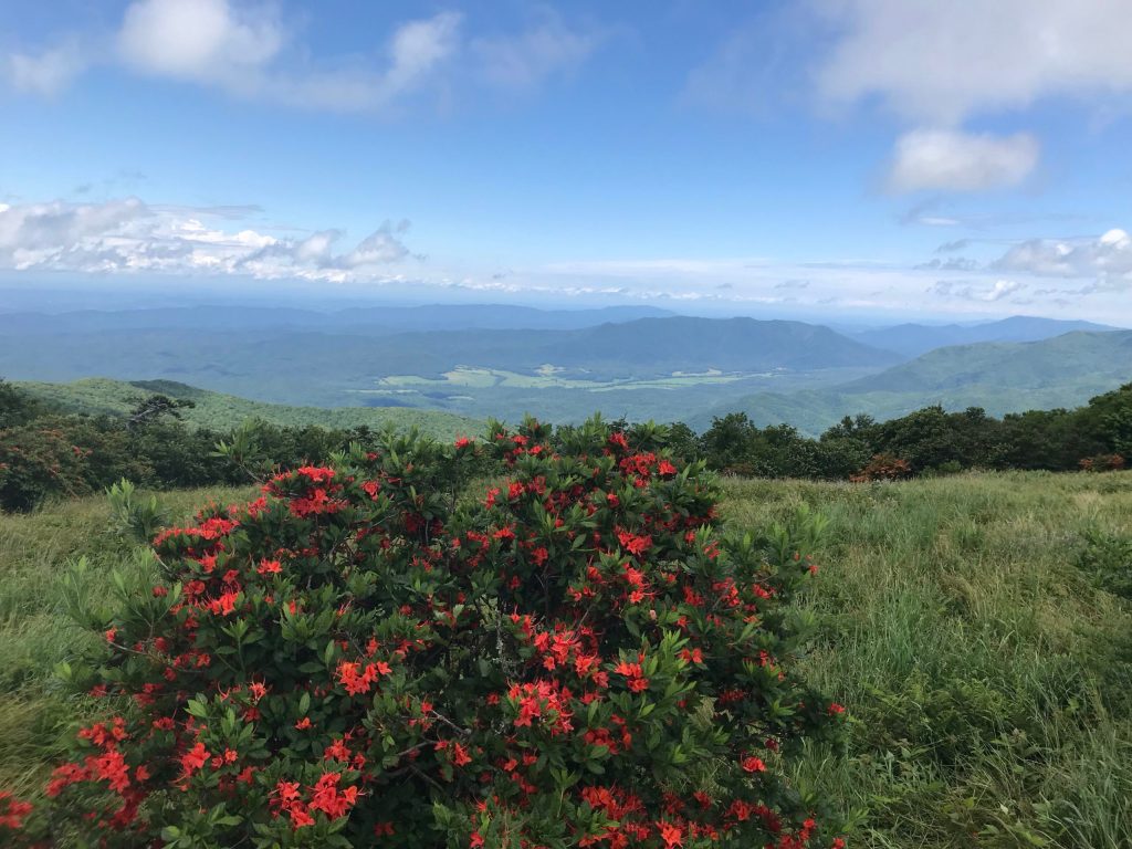 Conquering Gregory Bald