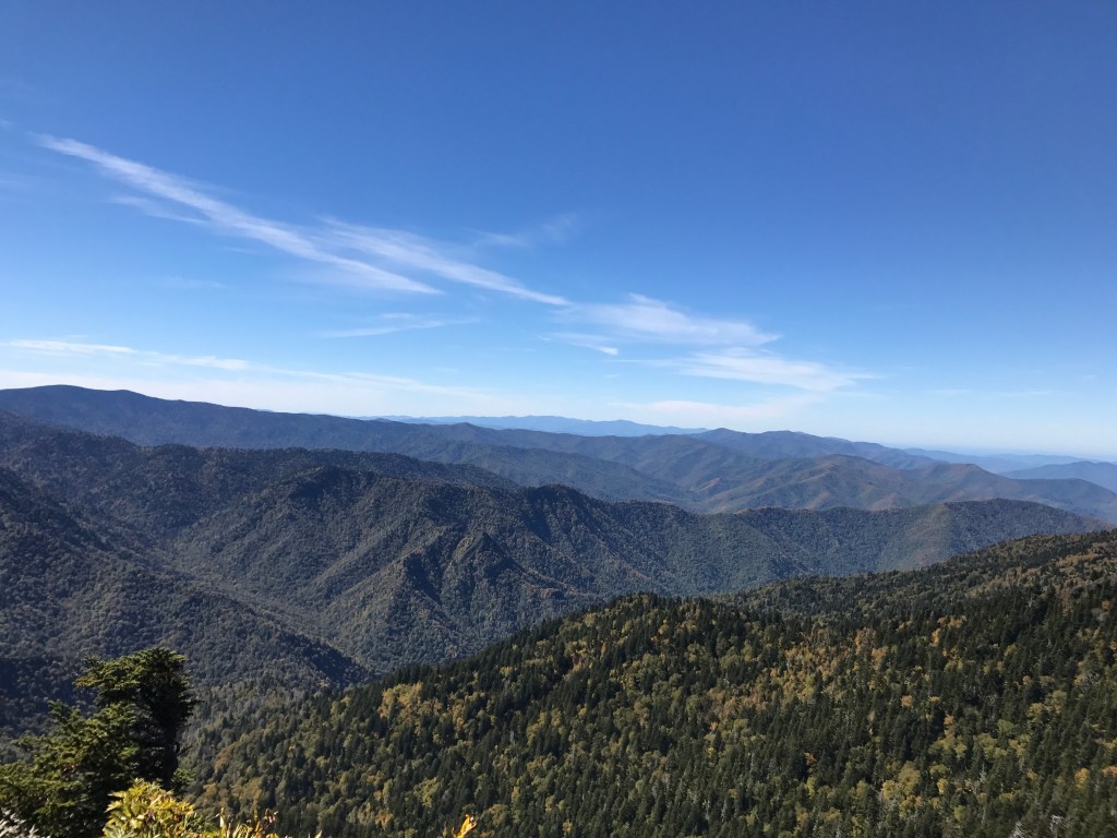 Nov. 17 – Back to&nbsp;LeConte