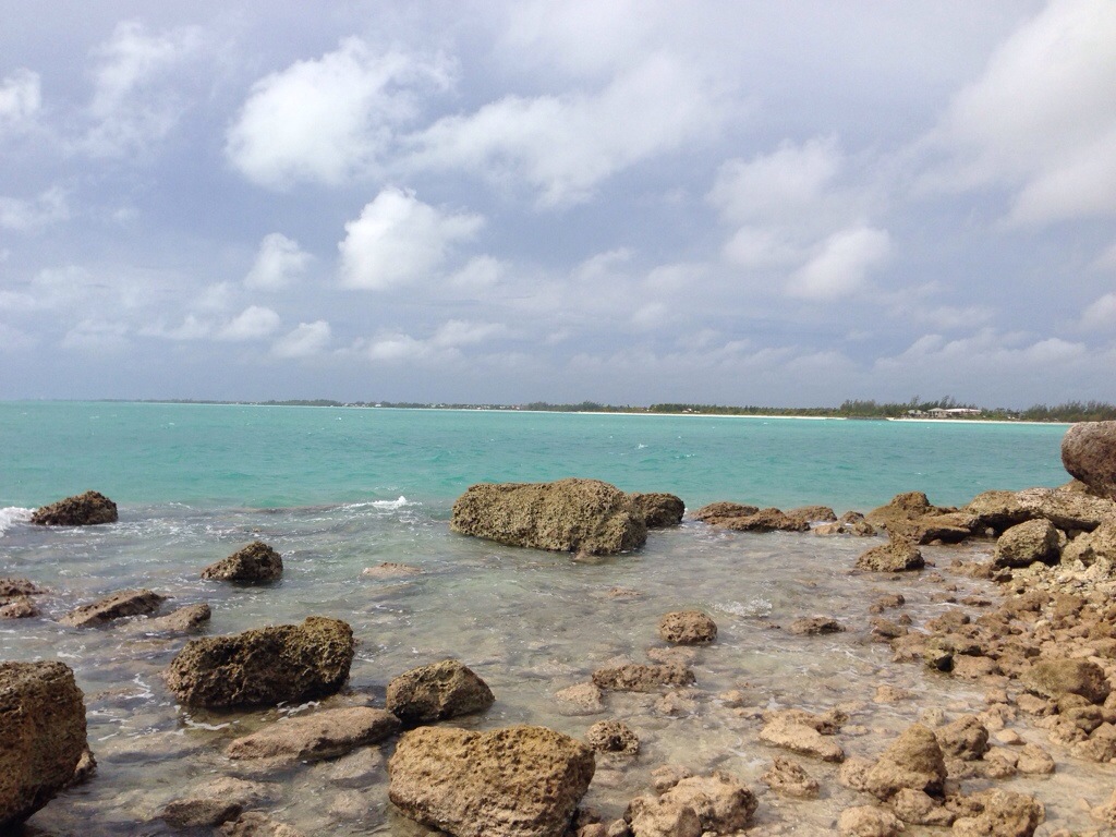 Jan. 23 – Day&nbsp;11