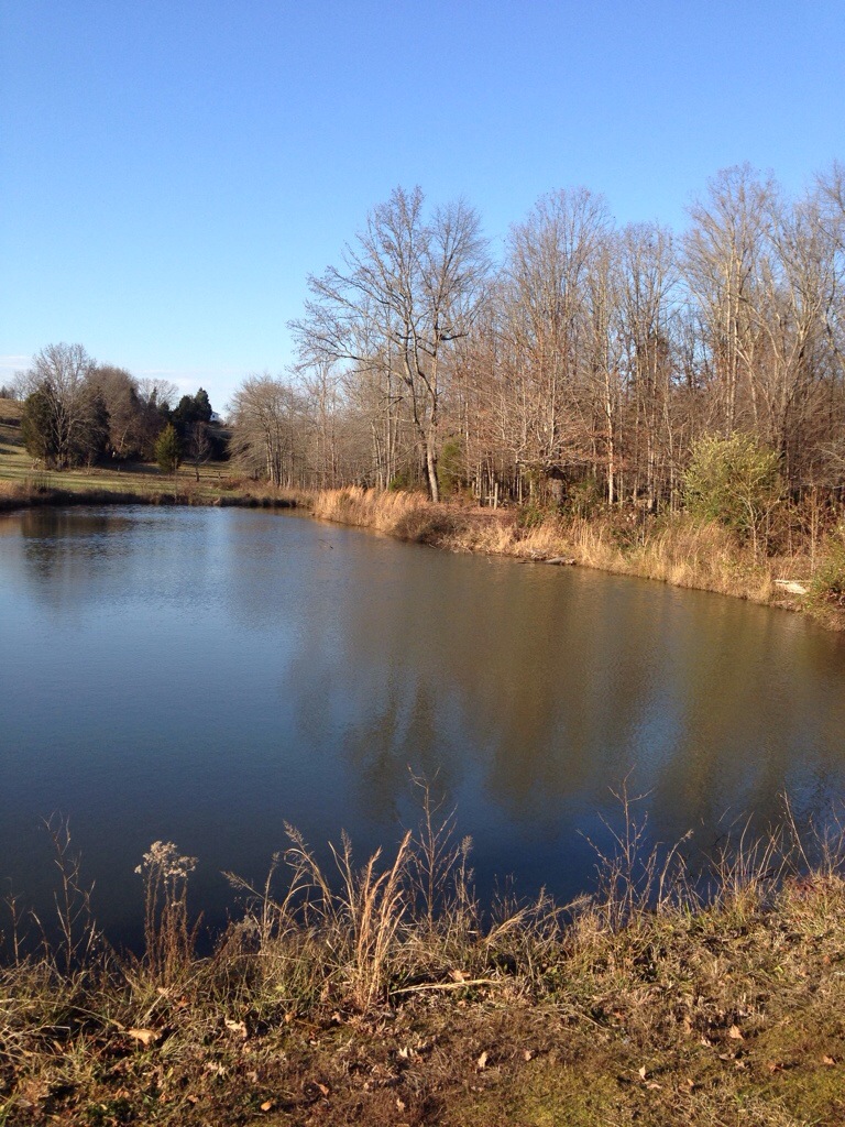 Daily Post – Dec.&nbsp;17