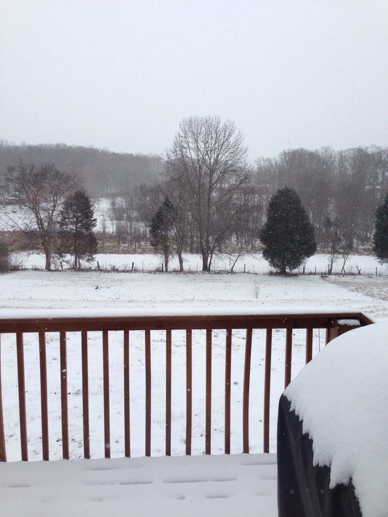 Jan. 28 – Unexpected Snow Day